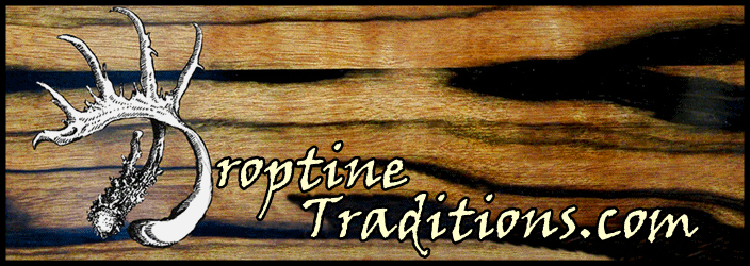Welcome to droptinetraditions.com